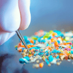 Μικροπλαστικά υπάρχουν πλέον σε κάθε ανθρώπινο πλακούντα