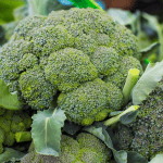 Γιατί το μπρόκολο είναι τόσο σημαντικό για την υγεία του εντέρου