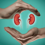 Νεφρά: Πώς να τα διατηρήσετε υγιή