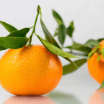 Μανταρίνι ή πορτοκάλι: Ποιο είναι το καλύτερο τονωτικό για το ανοσοποιητικό;
